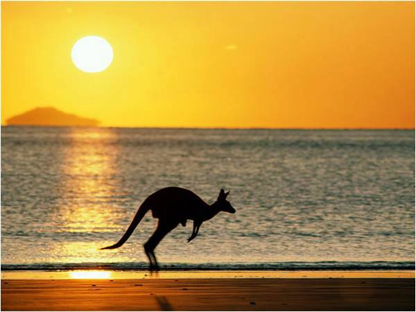 Resurfacing Down Under