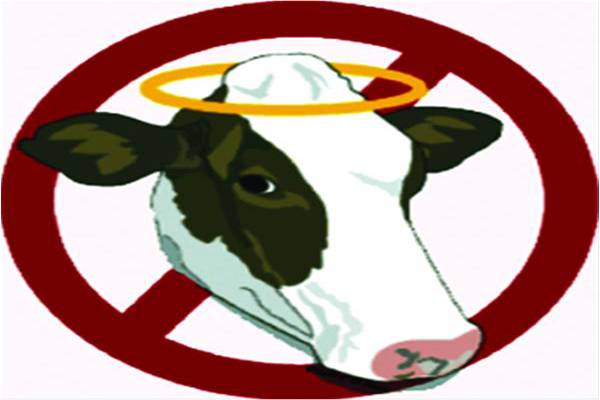 Nourishing sacred cows
