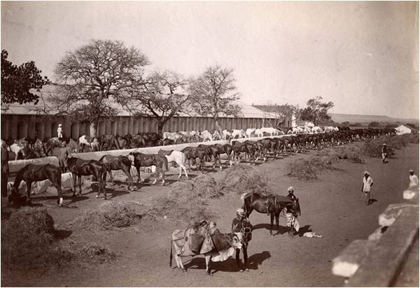 7th Queen’s Own Hussars at the Northwest Frontier (c1870)