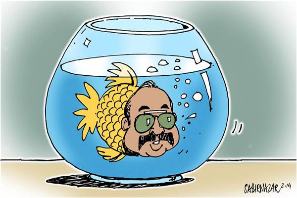 State Response to Terrorism