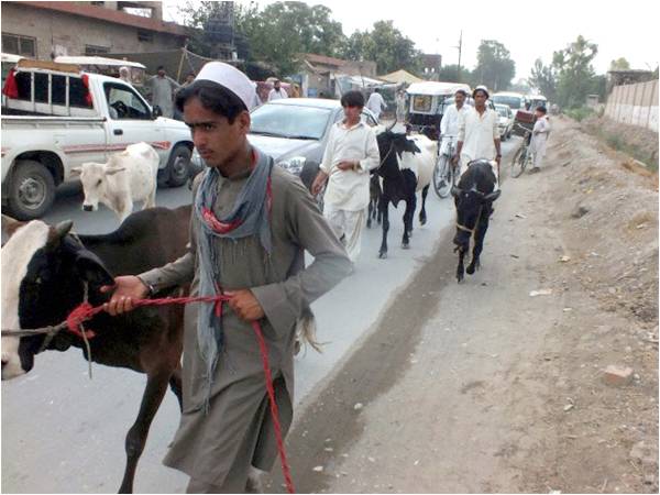 Thousands flee to Afghanistan