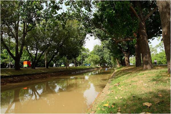 The withering canal