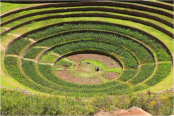 The Road to Machu Pichu