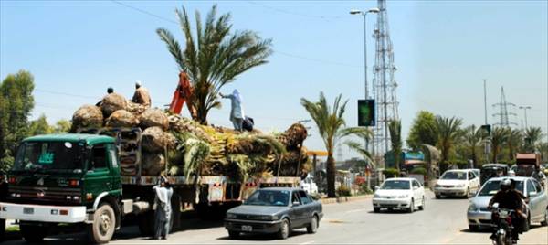 Peshawar’s desertification