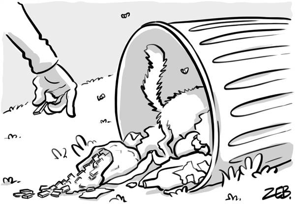 Nuggets from the Urdu press