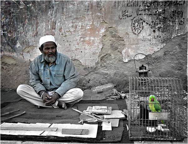 In praise of Mian Mithu