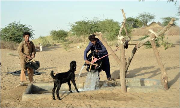 Unrealised dreams in a greener Thar