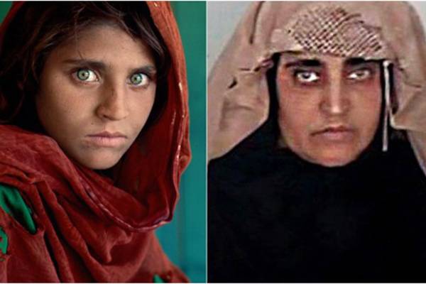 The bitterness of Sharbat Gula