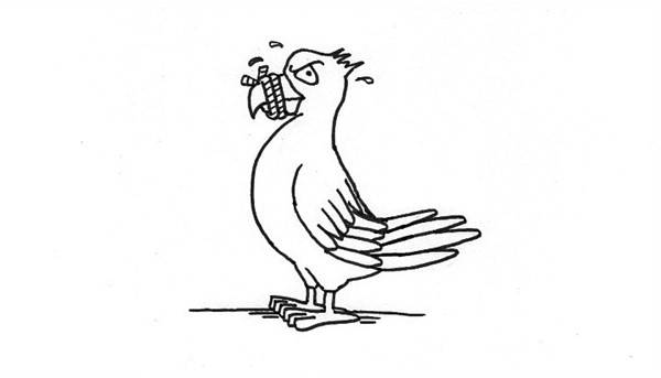 Nuggets from the Urdu press