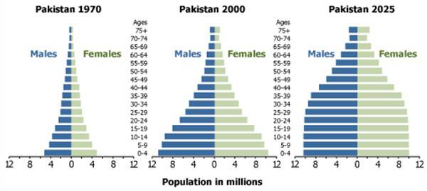‘Leave out migrants and you undercount population’