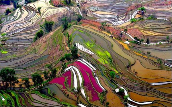 China urges Red sunsets for green crescent