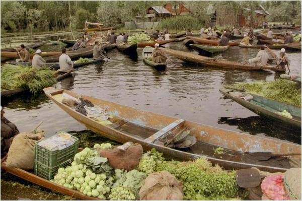 Alluring Kashmir