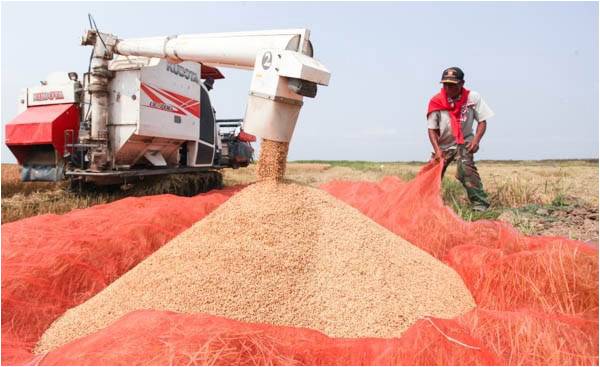 This is why China wants our farmland