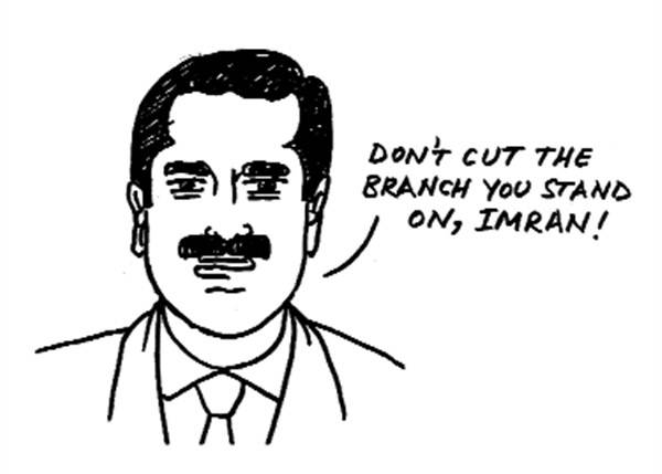 Nuggets from the Urdu press