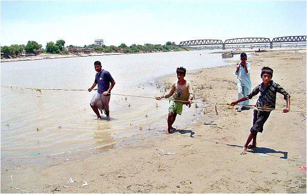 Bounty of the Indus