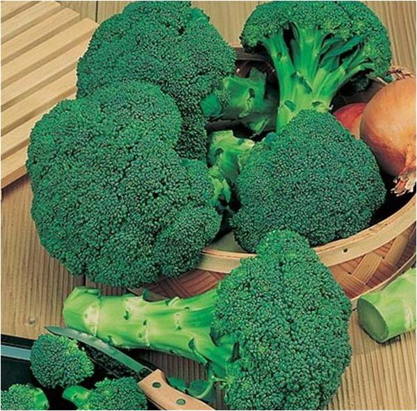 10 winter vegetables that you can’t miss