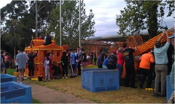 Celebrating oranges Down Under