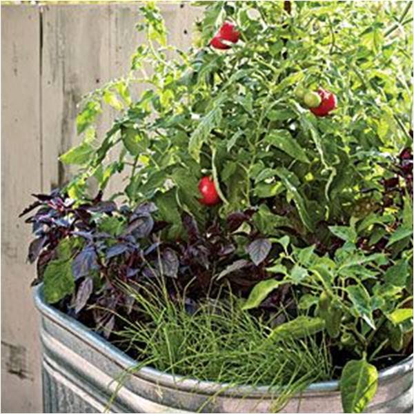 Your garden and its social scene
