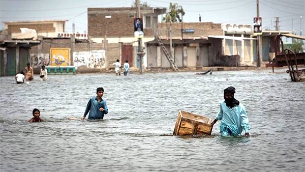 What we need to implement REDD+ in Pakistan