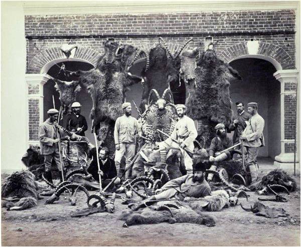 Highland Regiment hunting in Sialkot, 1864
