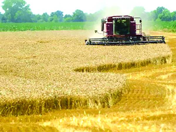 Poverty, policy, inequality - a saga of Pakistan’s agricultural stagnation