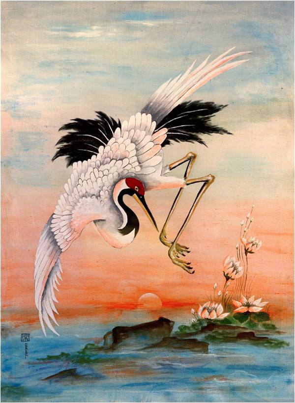 Flights of Imagination