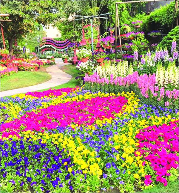 The Constant Gardener