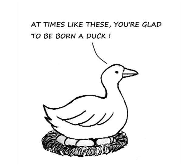 Nuggets from the Urdu press