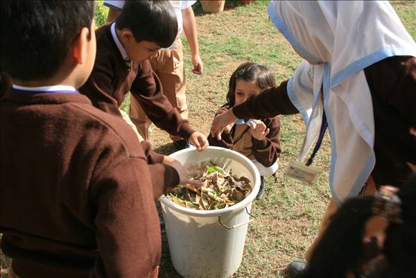Seeds of a greener Karachi