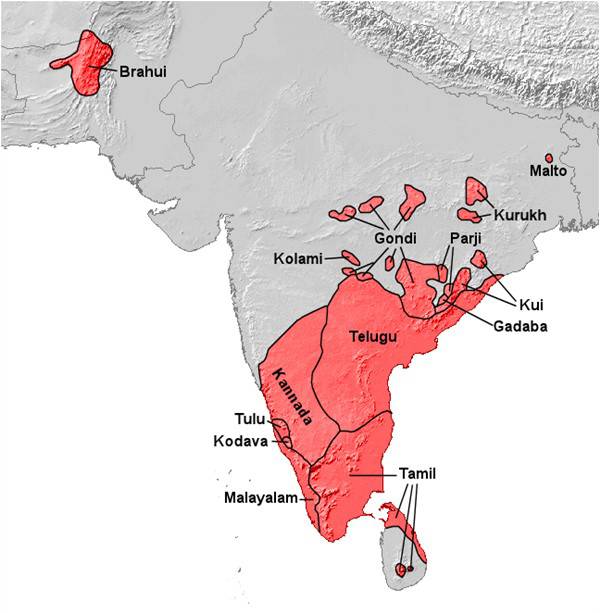 In search of Tamil’s cousin in Pakistan