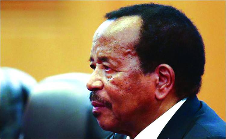 The African mirror: What does it tell us?