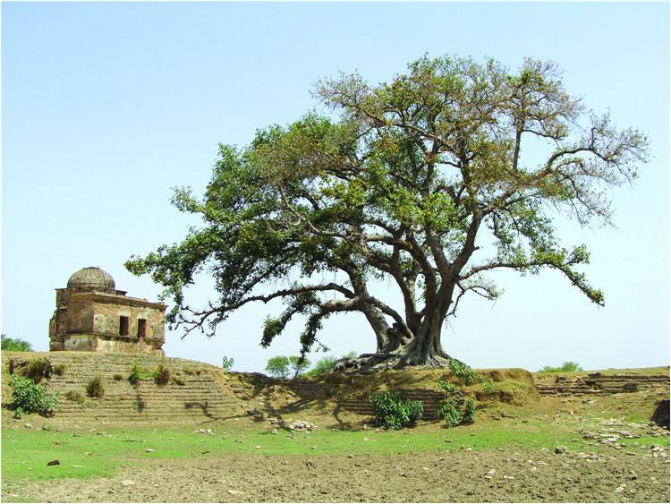 Resting place of an Udasi ascetic