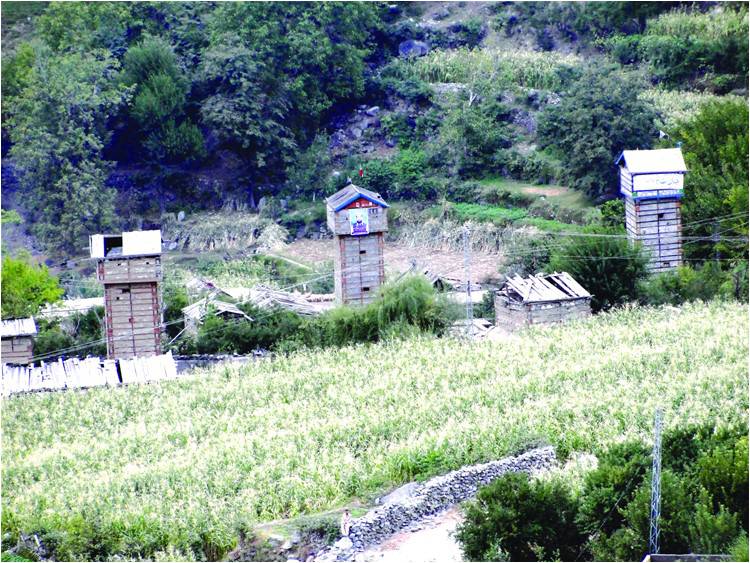 Towers of Kohistan