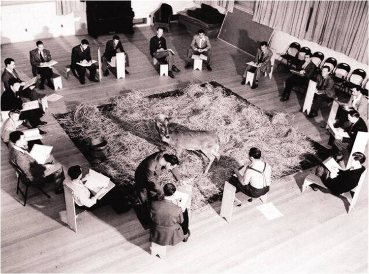Animating nature (1942)