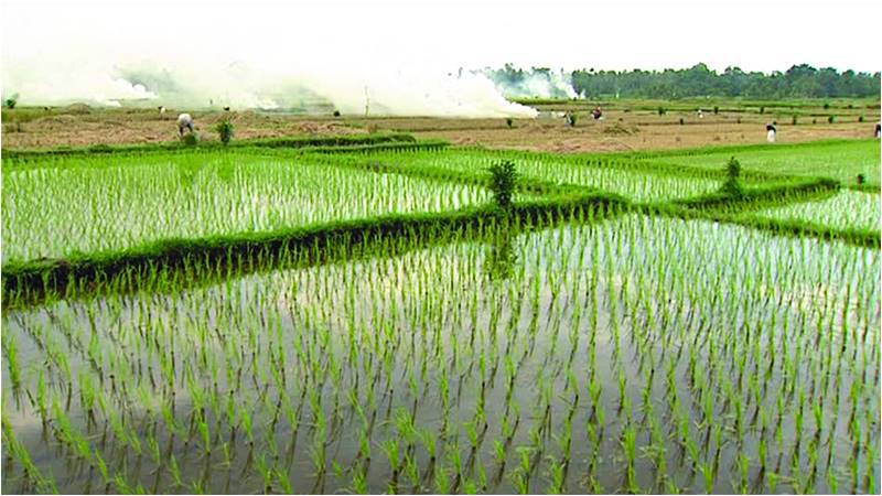 Water Scarcity: Is Pakistan Managing its Resources Efficiently?