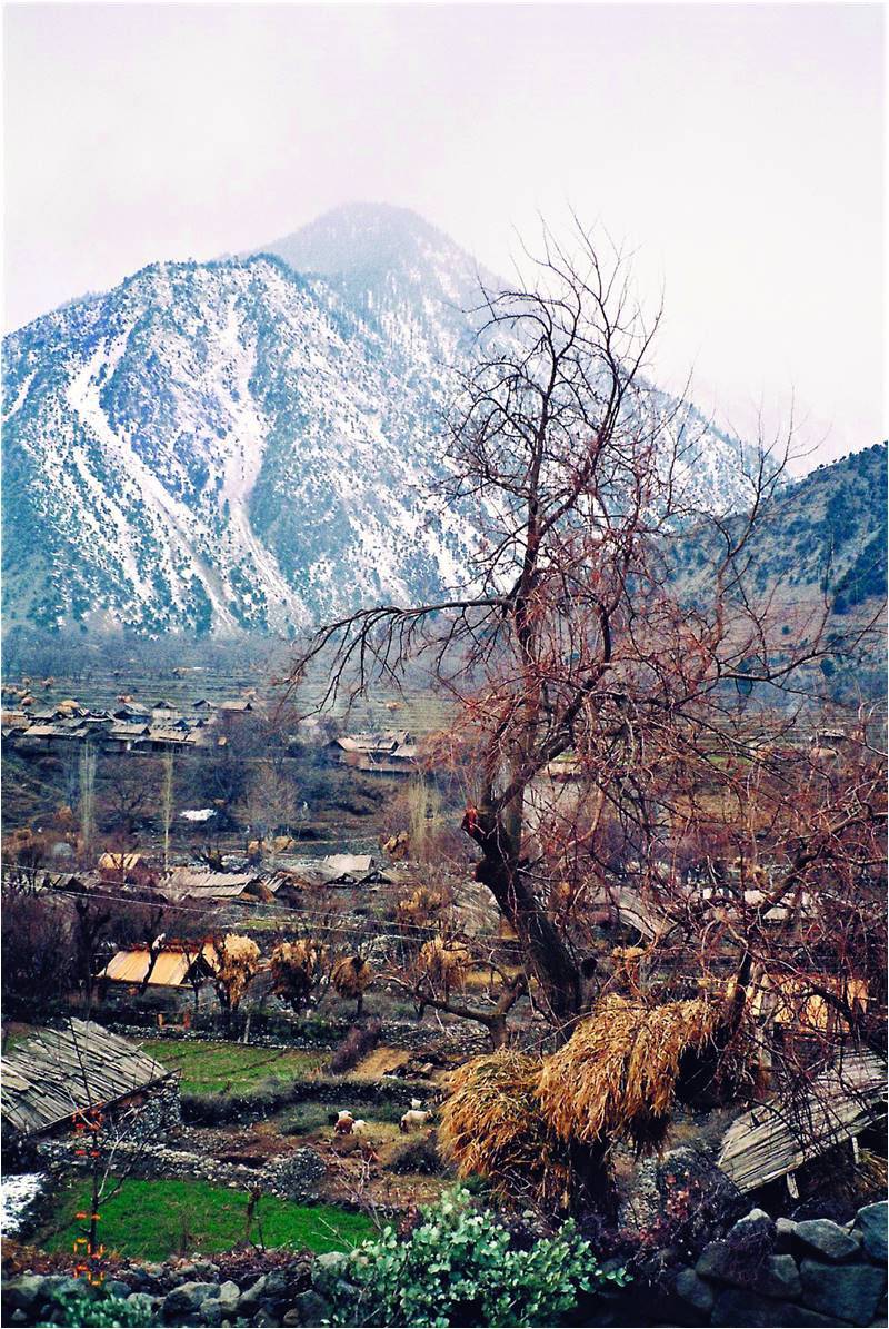 Winds of Change in Darel