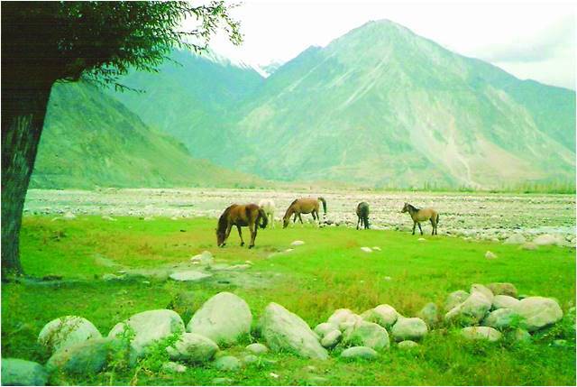 Impressive Immit in Ishkoman