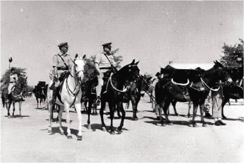 Mountain Guns and Trusty Mules