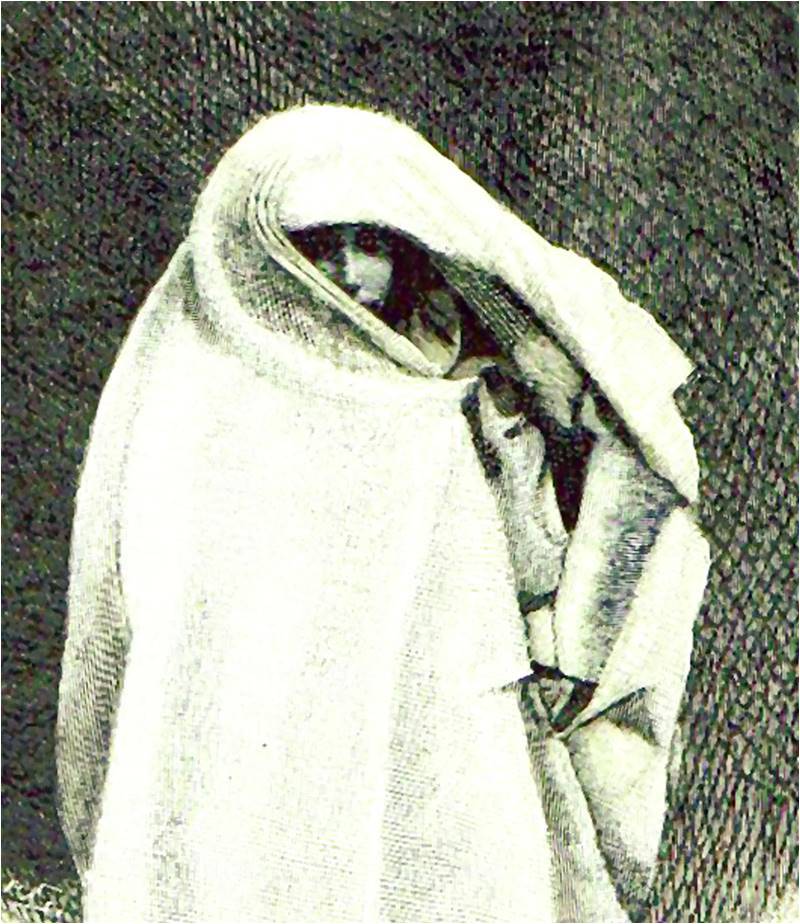 A new world (1894)