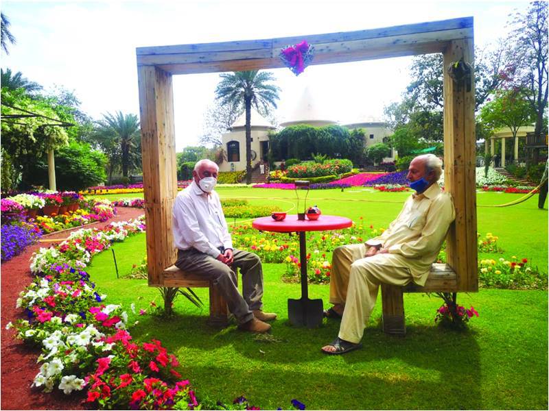 In Search of a Perfect Garden