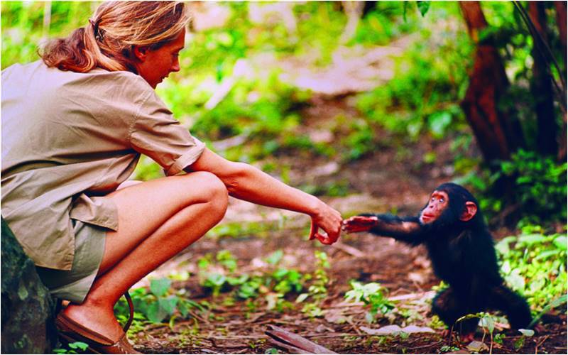 Where do Rational Animals go from here?