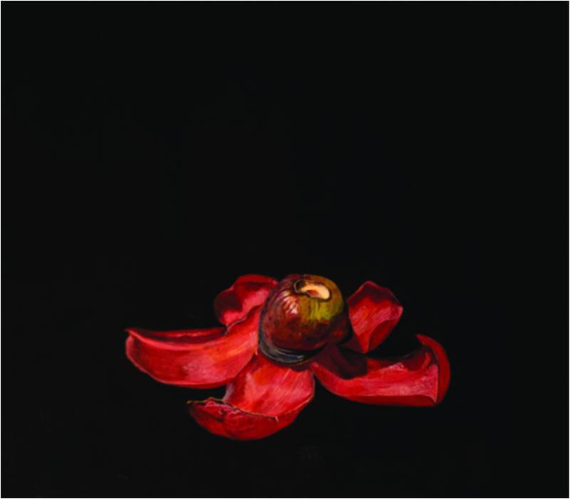 A Still Descent - Reexamining Reality