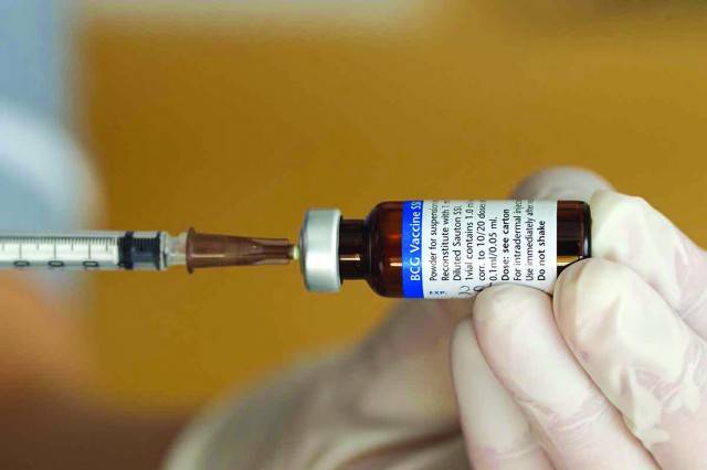 Can a century-old vaccine protect against COVID-19?