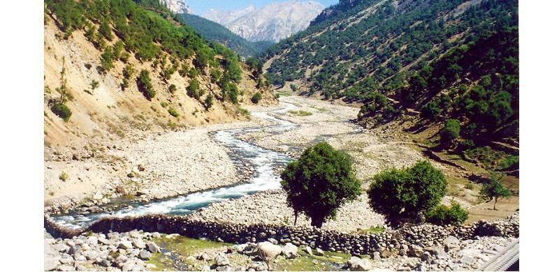 Traditional Social Institutions of Tangir: Some Ethnographic Notes
