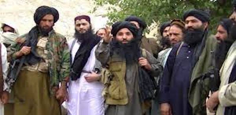 Pakistan Ready To 'Pardon' TTP Members If They Accept Constitution, Says FM Qureshi