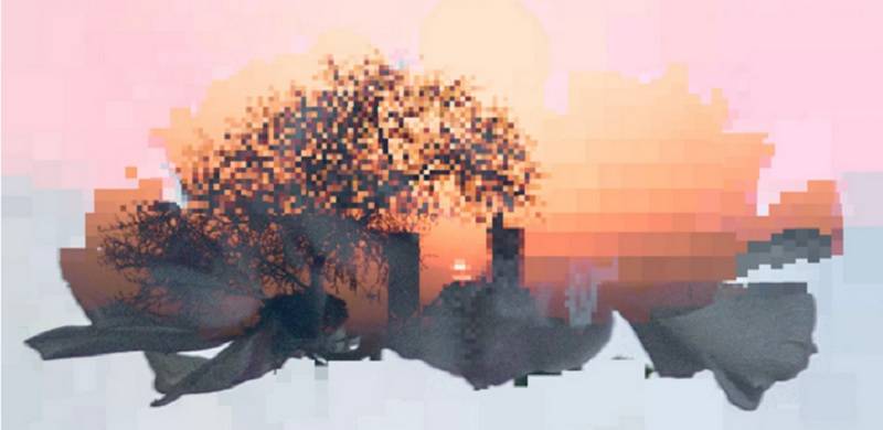 The Neighbourhood: Amina El Edroos's First Solo Exhibition