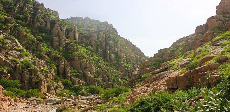 Rooplo Kolhi: The Warrior Who Defied The British Empire In The Karoonjhar Mountains