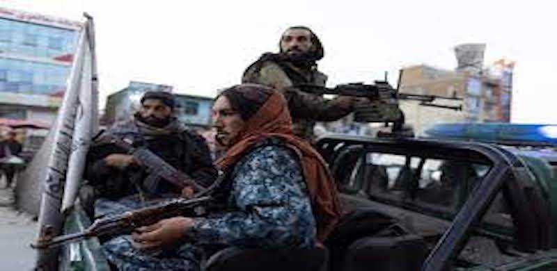 Taliban In The Land Of Oz: A Rush To Provide Assistance Will Be Counterproductive