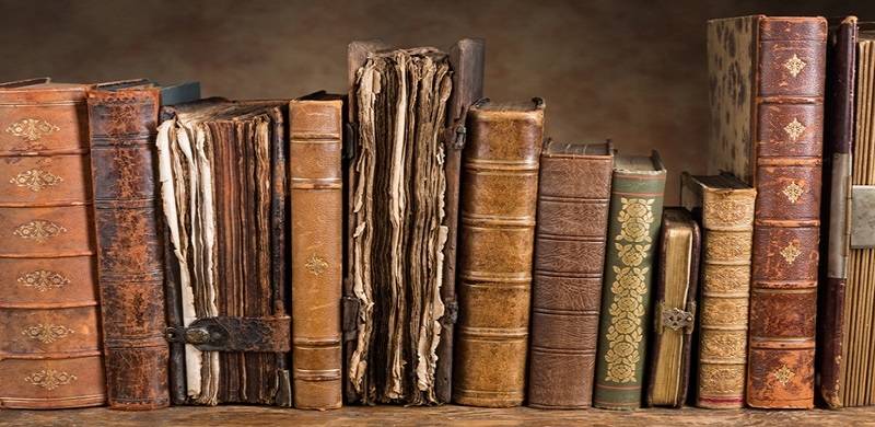 History, The Historian’s Craft And South Asian History: A Study Plan