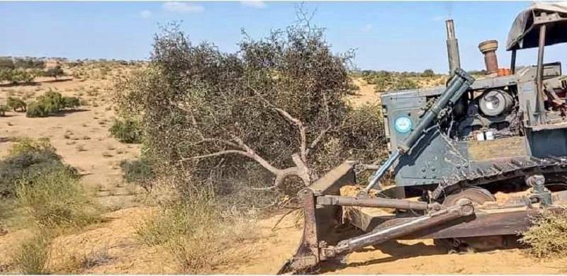 Over 100km Of Thar Desert Paved To Make Racetrack For Sports Festival